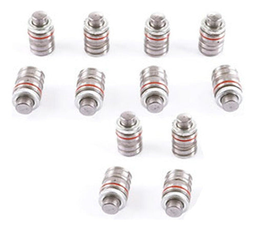 Set Taquie Hyundai Accent 1.5 2000 2006 8 Válvulas