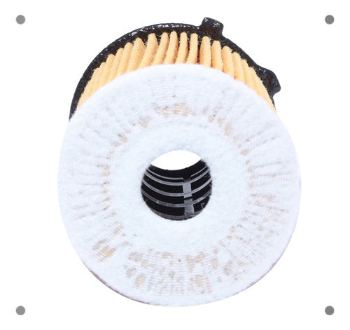 Filtro Aceite Citroen C4 1.6 Dv6dt 2012 2022