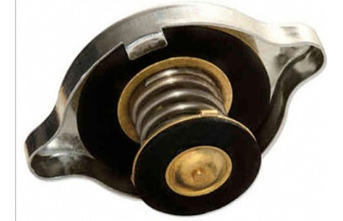 Tapa Radiador Kia Sportage 2.0 1994 - 2004