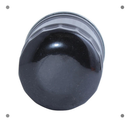 Filtro Petroleo Kia K4000 4.0 Sh 1994 2000
