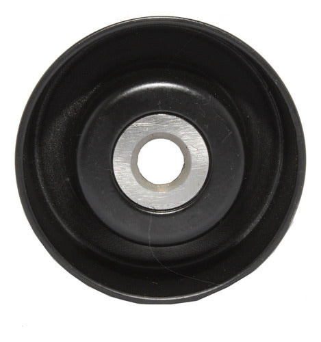 Polea Tensor Peugeot 206 1999 2010