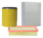 Kit Filtro Baic X25 2016 2024 Aire Polen Aceite