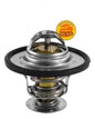 Termostato Captiva 2.0 2012 2015