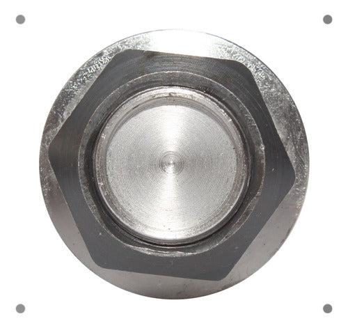 Rotula Delantero Inferior R/L Nissan Terrano D22 2.4 1998 2010