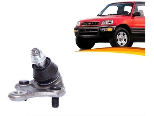 Rotula Bandeja Toyota Rav4 1997 / 2000