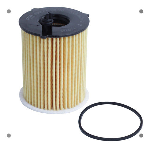 Filtro Aceite Peugeot 307 1.6 Dv6ted4 2002 2010