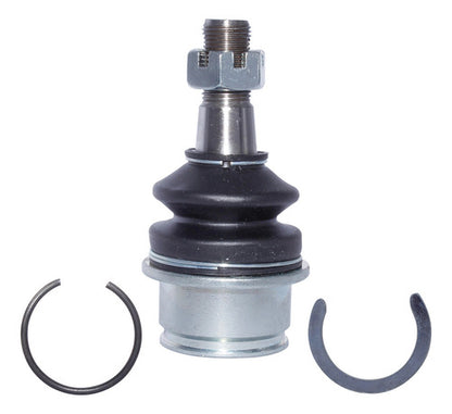 Rotula Inferior Delantero R/L Poer 2.0 16 Valv 2020 2023