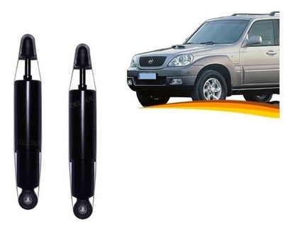 Amortiguador Trasero Hyundai Terracan 2001 2009 Par