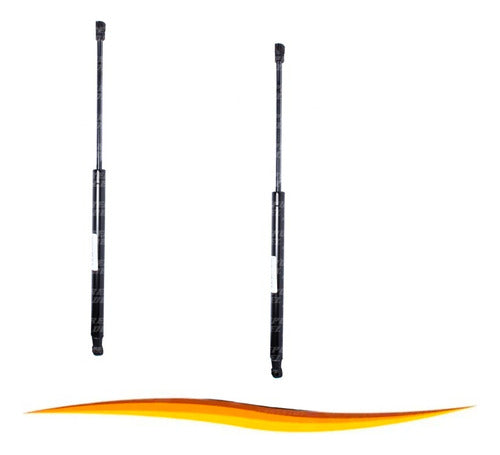 Par Amortiguador Portalon Peugeot 307 2000 2008