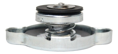 Tapa Radiador Hyundai Santamo 2.0 1995 2002