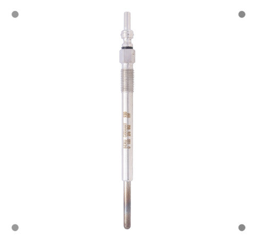 Bujia Incandescente Peugeot 307 1.6 2008 2009 X10