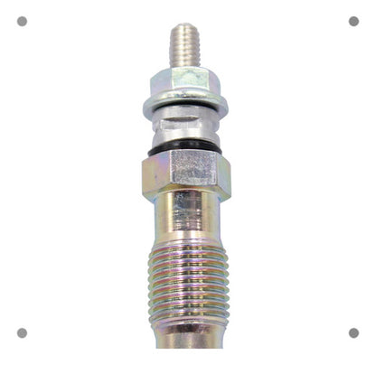 Bujia Incandescente Peugeot 406 2.0 2002 2005 X10