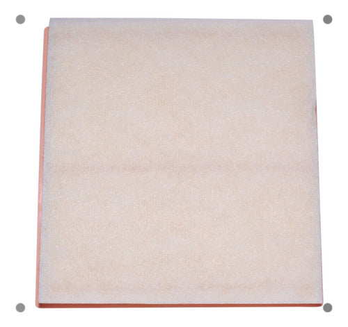 Filtro Aire Chevrolet Cruze 2.0 Z20s1 Cri 2010 2011